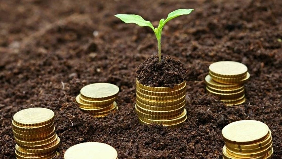 Confessions of a Founder Raising a Seed Round