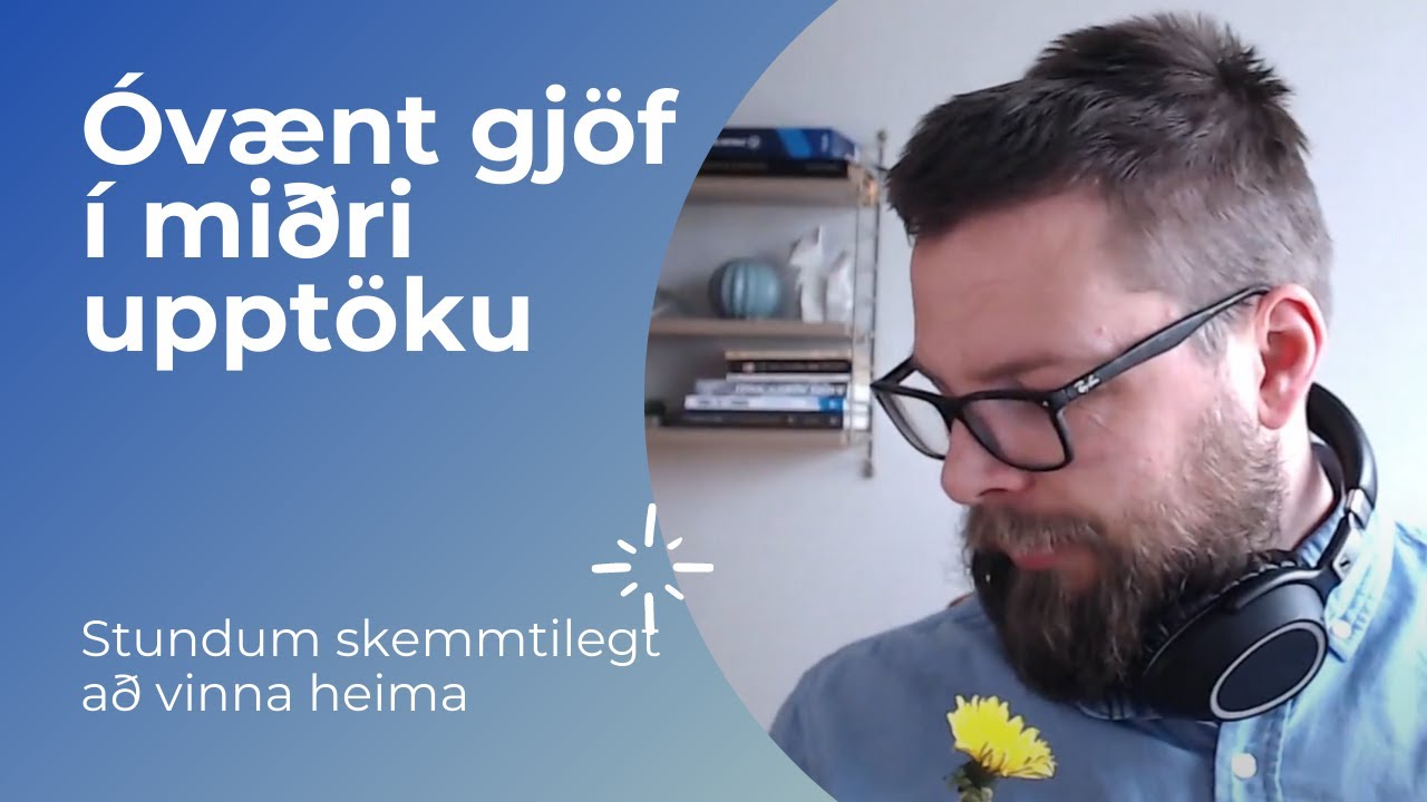 Húmorinn við heimavinnu