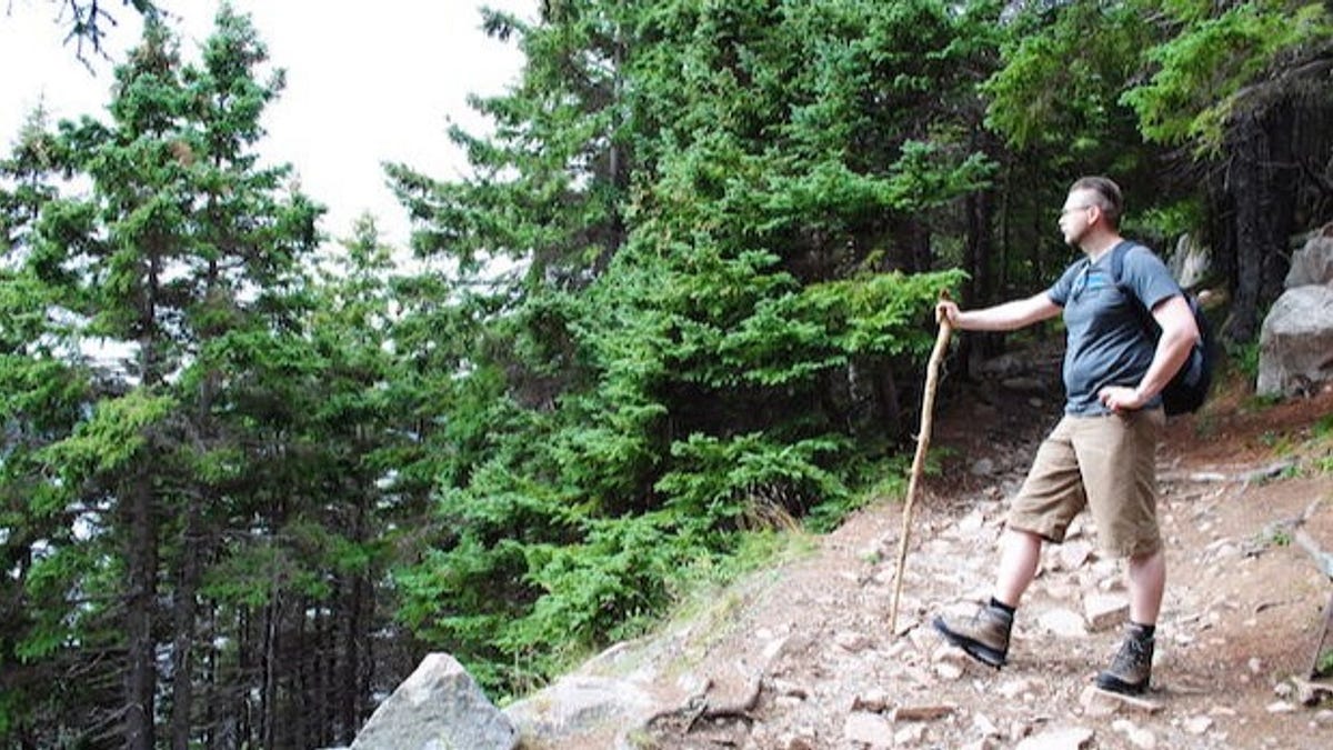 The Search For The Icelandic VCs