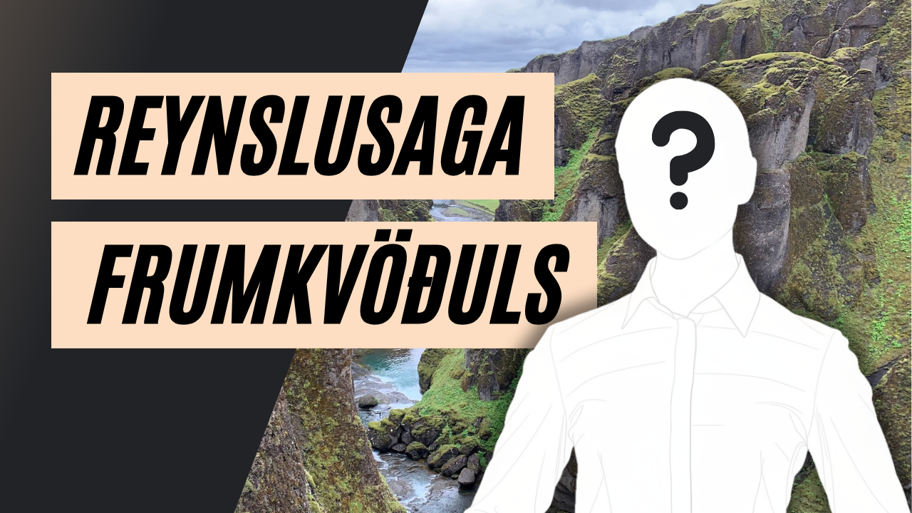 Reynslusaga íslensks frumkvöðls
